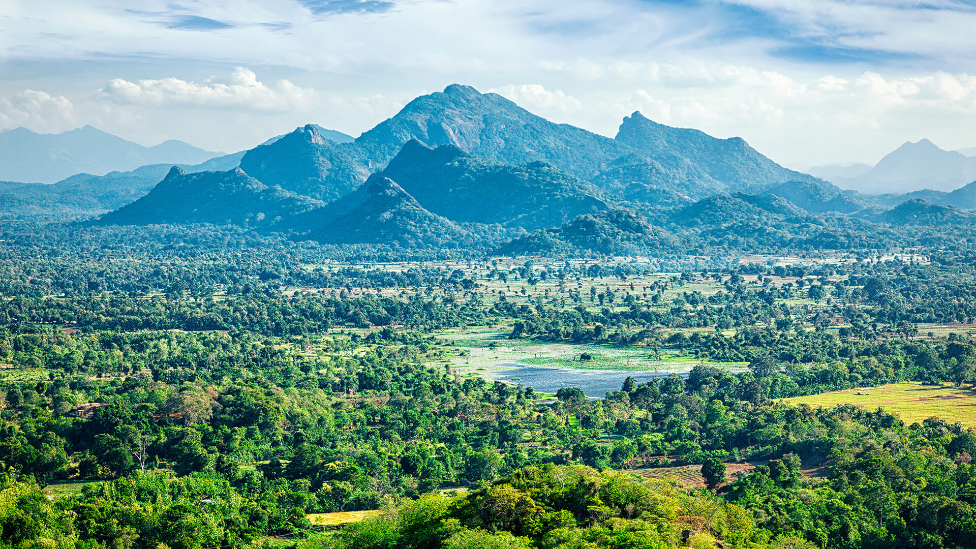 The Ultimate Guide to Backpacking Sri Lanka